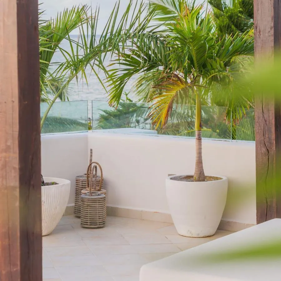 8 Bedroom Luxury Villa With Private Chef Included Tulum Meksika